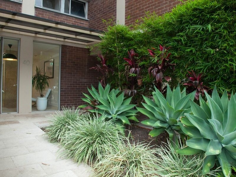 703/40 Stephen Street, Paddington NSW 2021