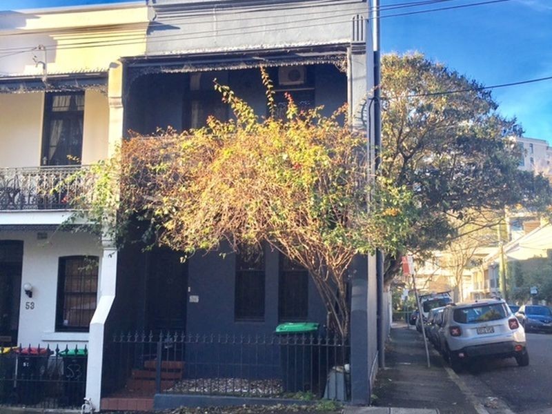 55 Cameron Street, Edgecliff NSW 2027