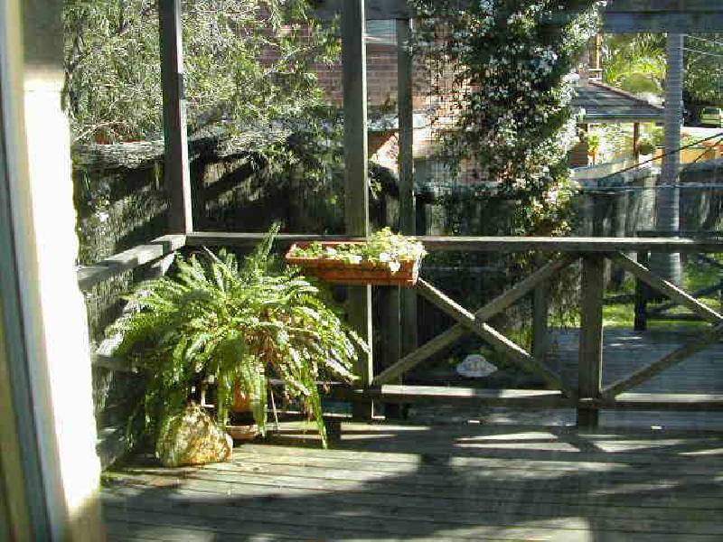 8 Abbott Street, Cammeray NSW 2062