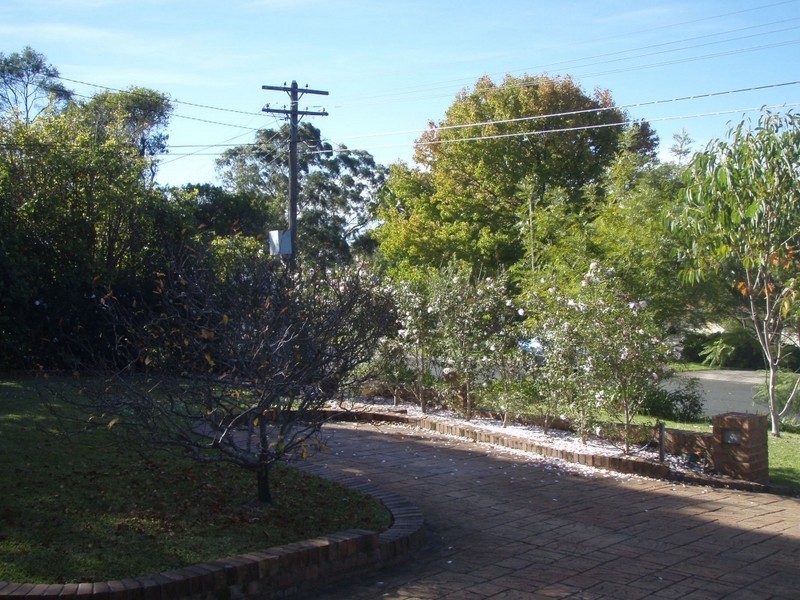 20 Griffiths Ave, Roseville NSW 2069