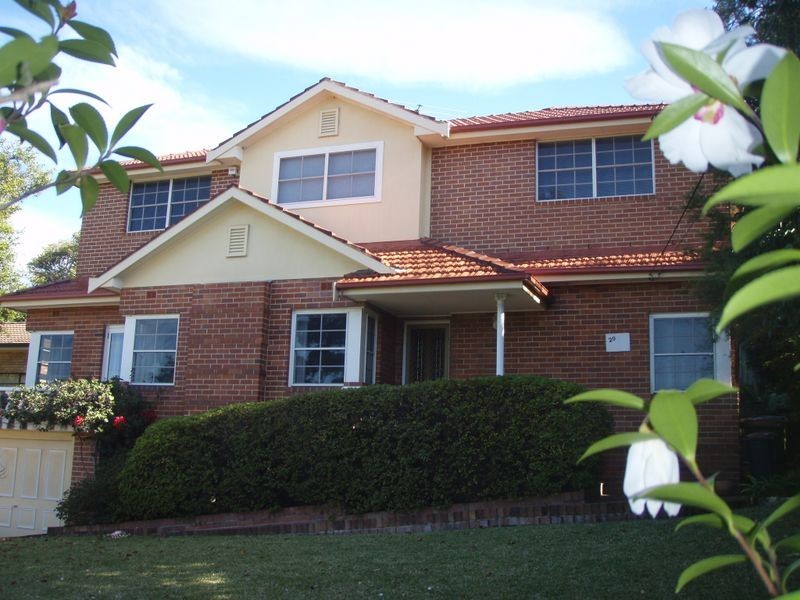 20 Griffiths Ave, Roseville NSW 2069