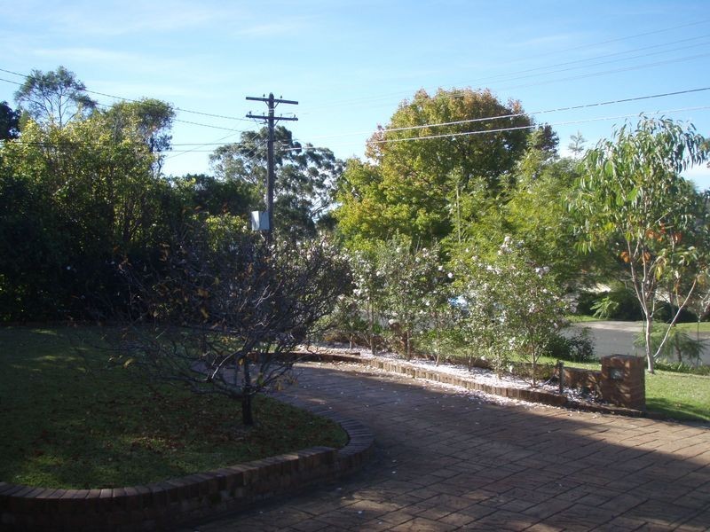 20 Griffiths Ave, Roseville NSW 2069