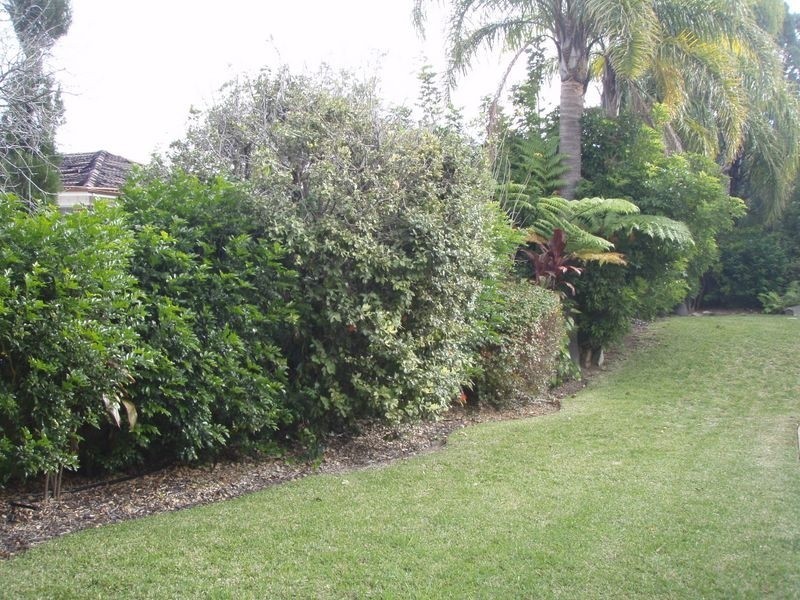 46 Cammeray Road, Castle Cove NSW 2069