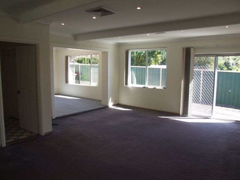 66 Alpha Road, Willoughby NSW 2068