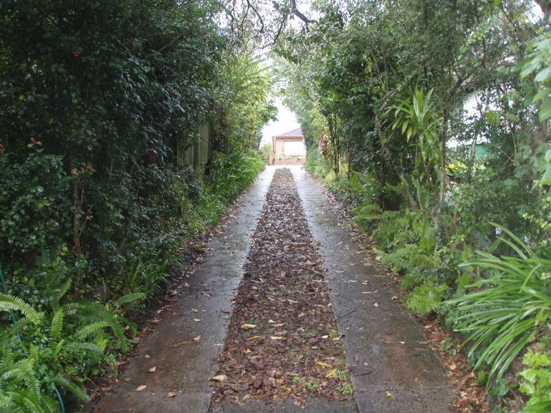 7A Chaleyer Street, Willoughby NSW 2068