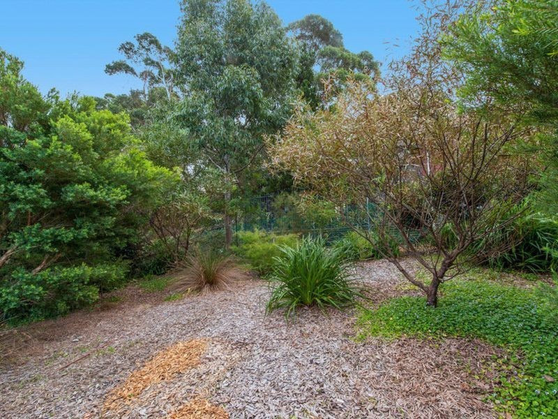 27 a Walter Street, Willoughby NSW 2068