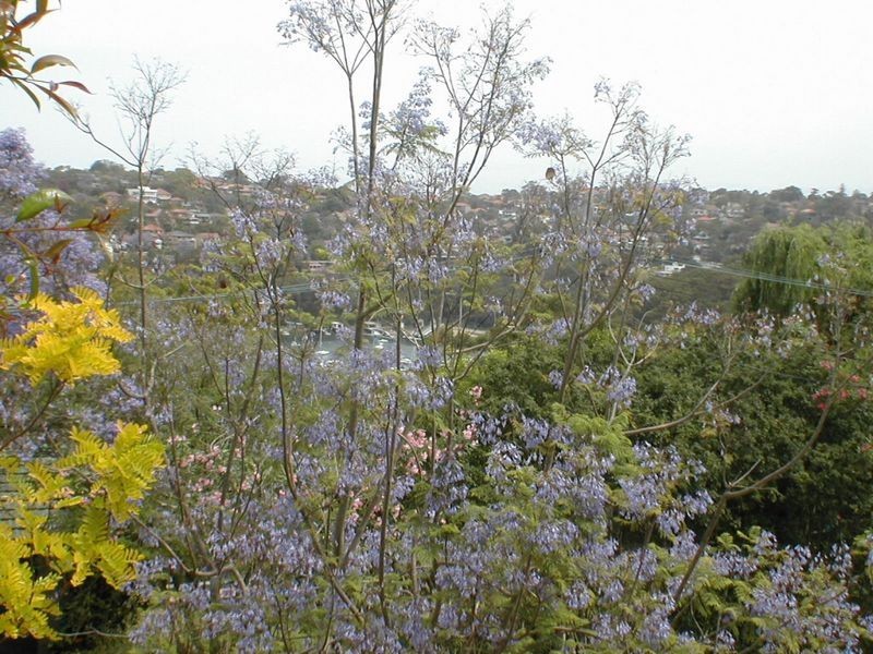 Castlecrag NSW 2068