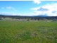 Valleyfield Acres/Lot 13 Germain Court, Sandford TAS 7020