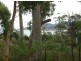 501 White Beach Road, White Beach TAS 7184
