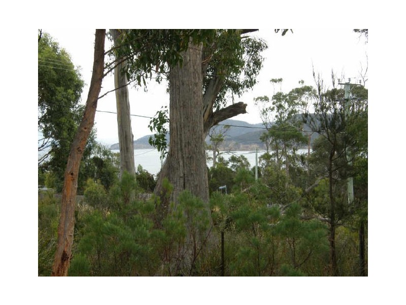 501 White Beach Road, White Beach TAS 7184