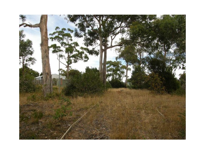 501 White Beach Road, White Beach TAS 7184