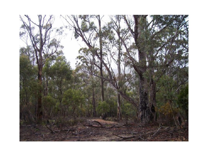 Cousens Road, Berriedale TAS 7011