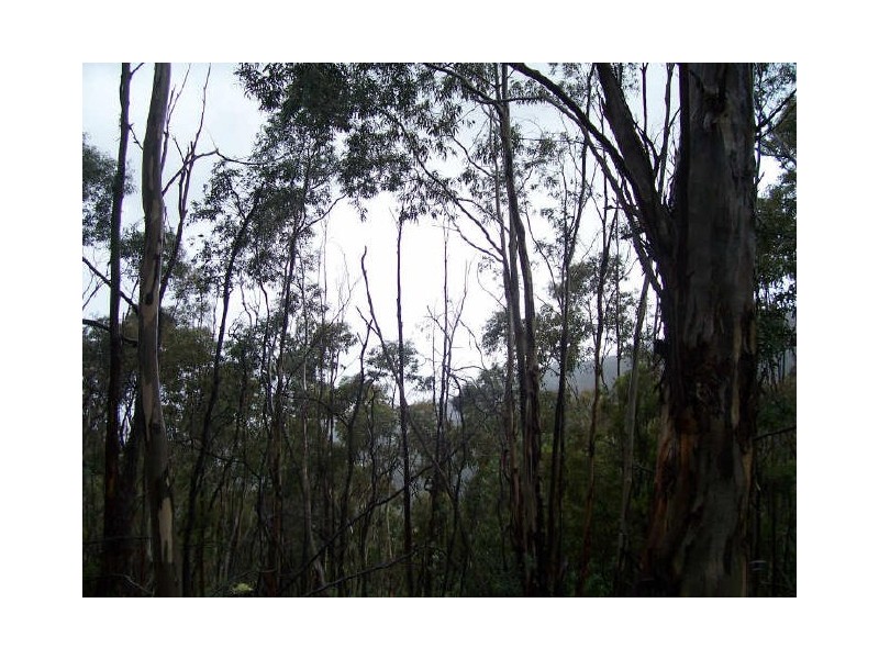 Cousens Road, Berriedale TAS 7011