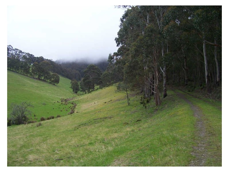 4/ Cousens Road, Berriedale TAS 7011