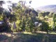 32 Ferntree Road, Eaglehawk Neck TAS 7179