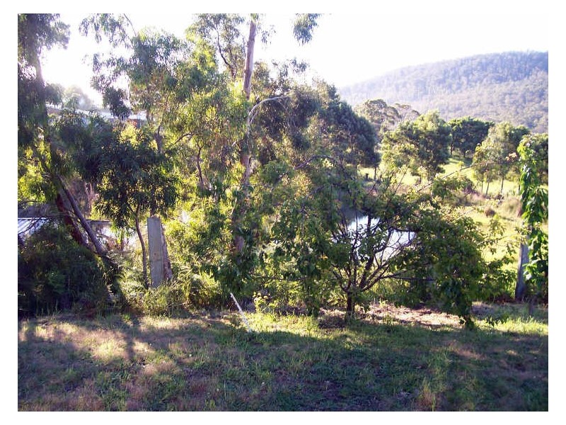 32 Ferntree Road, Eaglehawk Neck TAS 7179