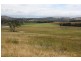 8/ Germain Court, Sandford TAS 7020