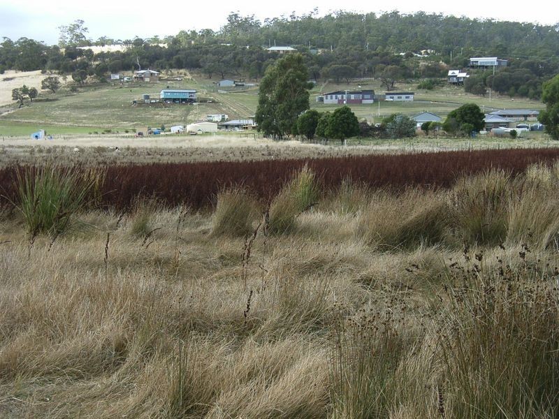 10 Centenary Drive, Dodges Ferry TAS 7173