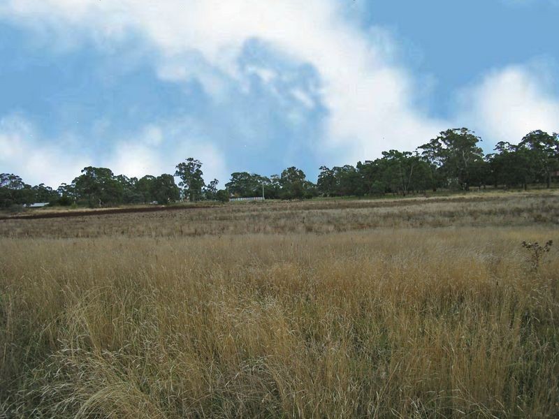 10 Centenary Drive, Dodges Ferry TAS 7173
