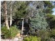 753 Dorans Road, Sandford TAS 7020