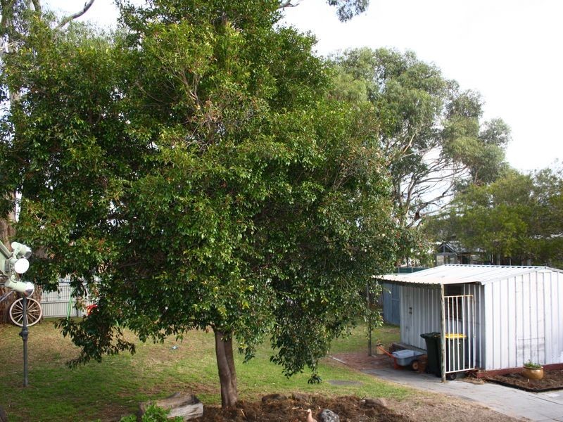 10 Aragoon Street, Lauderdale TAS 7021