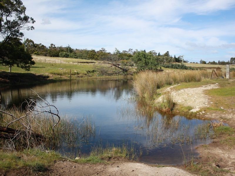 158 Old Forcett Road, Forcett TAS 7173