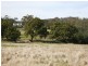 158 Old Forcett Road, Forcett TAS 7173