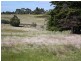 158 Old Forcett Road, Forcett TAS 7173