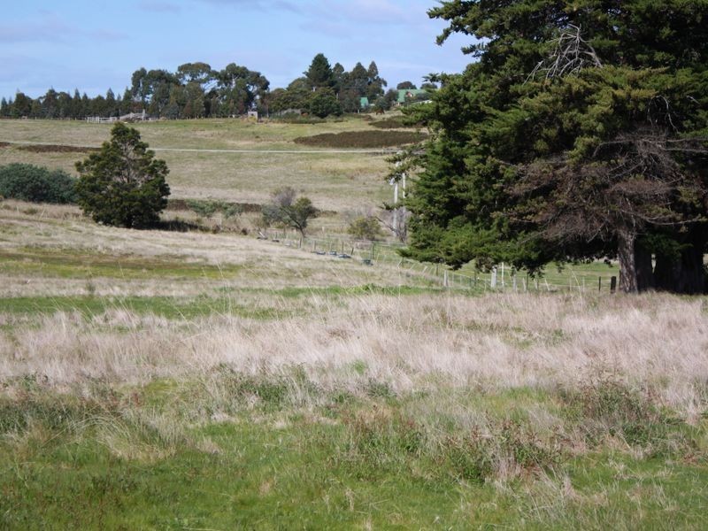 158 Old Forcett Road, Forcett TAS 7173