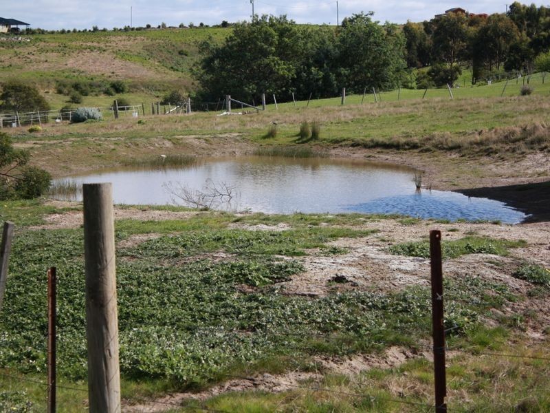 158 Old Forcett Road, Forcett TAS 7173