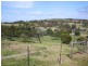 158 Old Forcett Road, Forcett TAS 7173