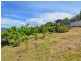 55 Bastick Street, Rosny TAS 7018