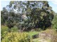 163 Flagstaff Gully Road, Lindisfarne TAS 7015