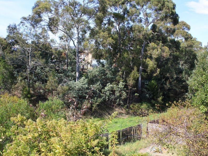 163 Flagstaff Gully Road, Lindisfarne TAS 7015