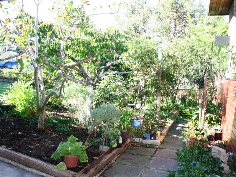 31 Balaka Street, Rosny TAS 7018