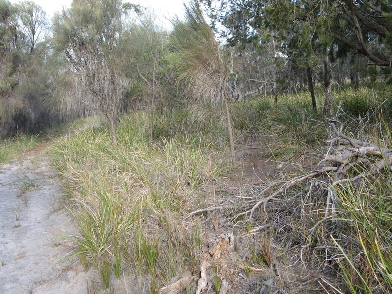 Lot 1 Falcon Street, Primrose Sands TAS 7173