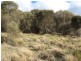 Lot 1 Falcon Street, Primrose Sands TAS 7173