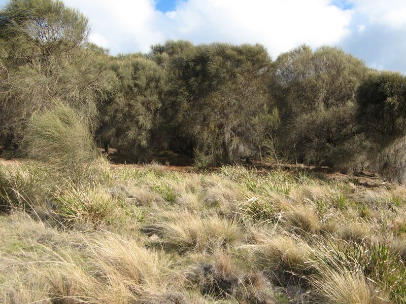 Lot 1 Falcon Street, Primrose Sands TAS 7173