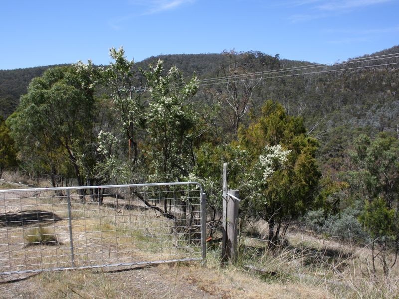 580 Grasstree Hill Road, Grasstree Hill TAS 7017
