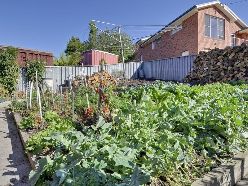 16 Tavistock Road, Austins Ferry TAS 7011