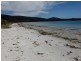 128 White Beach Road, White Beach TAS 7184