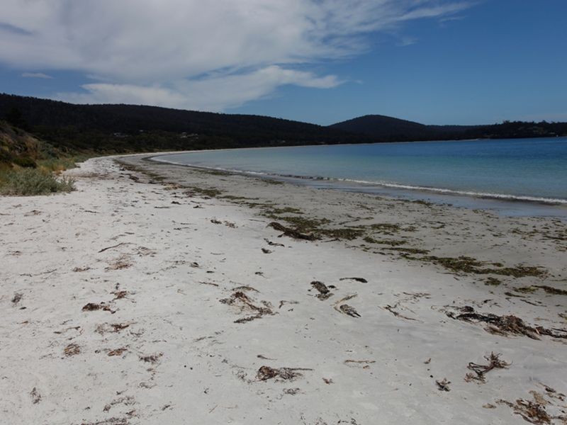 128 White Beach Road, White Beach TAS 7184