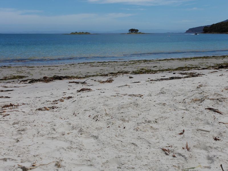 128 White Beach Road, White Beach TAS 7184