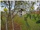 1439 Grasstree Hill Road, Richmond TAS 7025