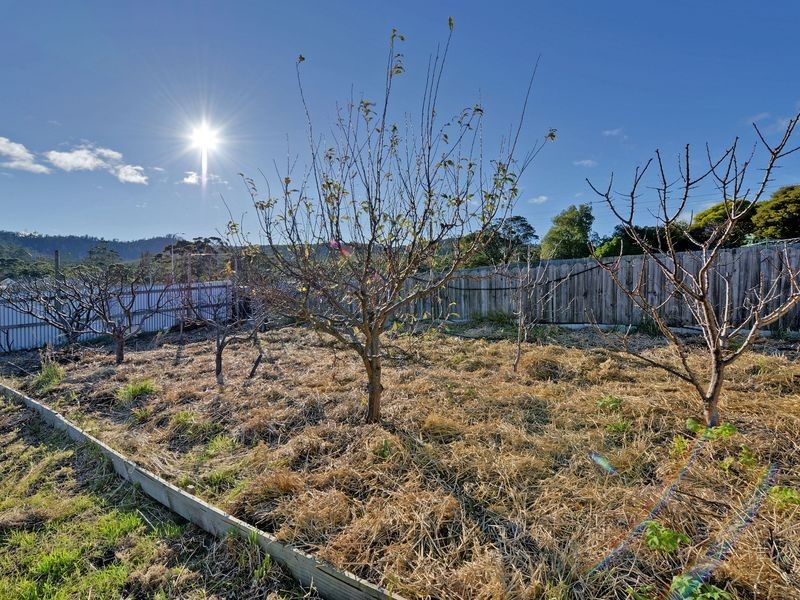 1 Grangefield Court, Clarendon Vale TAS 7019