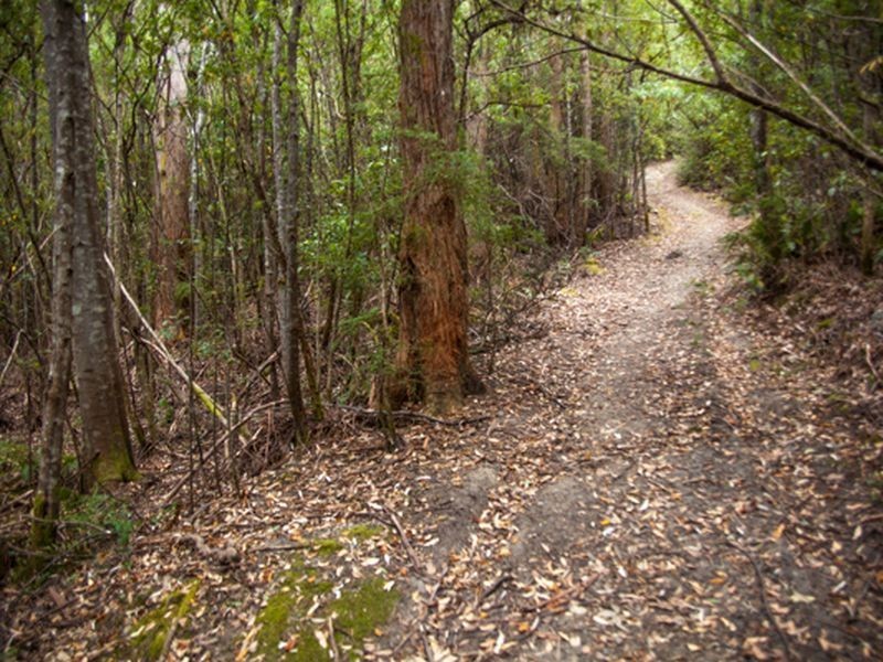 865 Huon Road, Fern Tree TAS 7054