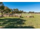 616 Forest Road, Orange NSW 2800