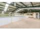 5 Colliers Avenue, Orange NSW 2800
