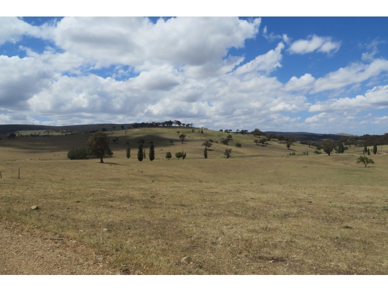 249 Edinboro Lane, Cargo NSW 2800