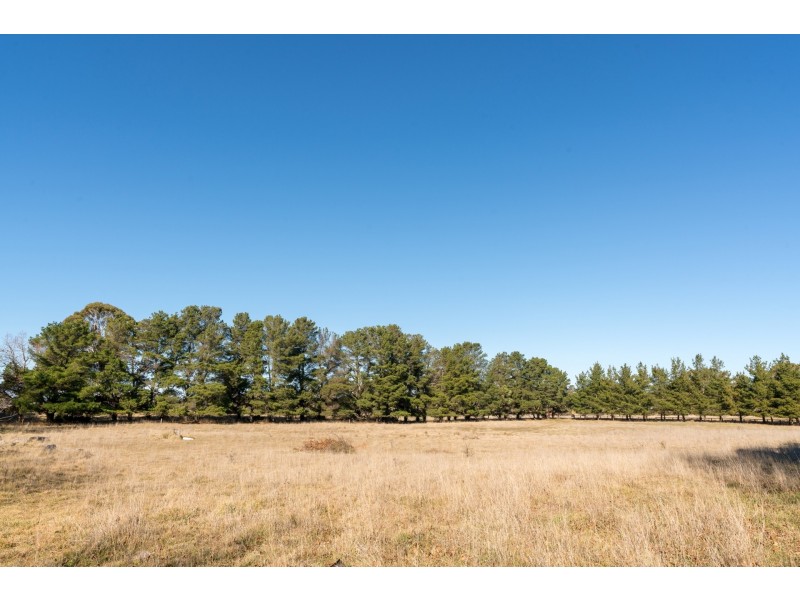 1162 Forest Road, Orange NSW 2800